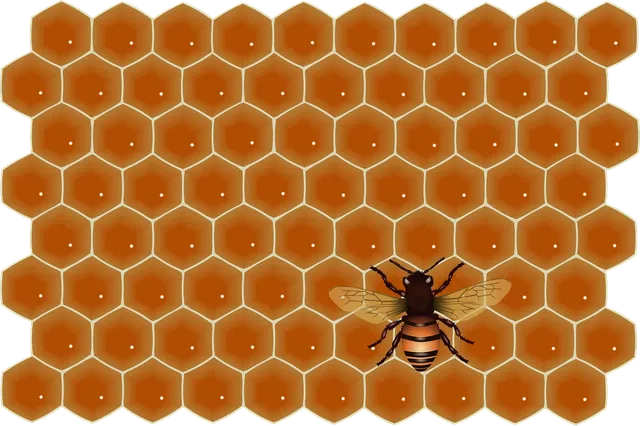 Load image into Gallery viewer, Sweet Natural Honey -Indian Gaur (Bos gaurus)