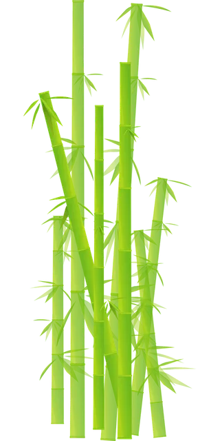 Load image into Gallery viewer, Sustainable Bamboo Facial Tissues – 100 Pieces