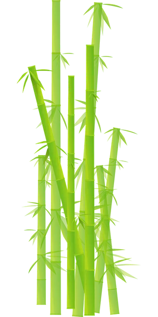 Sustainable Bamboo Facial Tissues – 100 Pieces