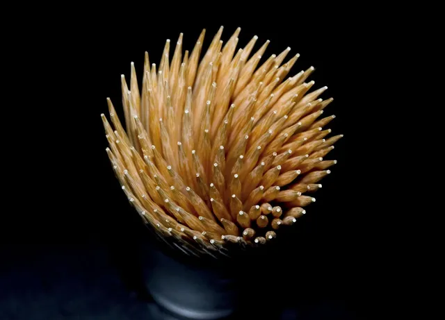 Sustainable Bamboo Toothpick- 100 Picks
