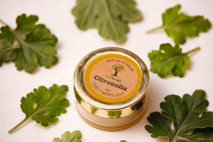Beewax Balm – Citronella 20g