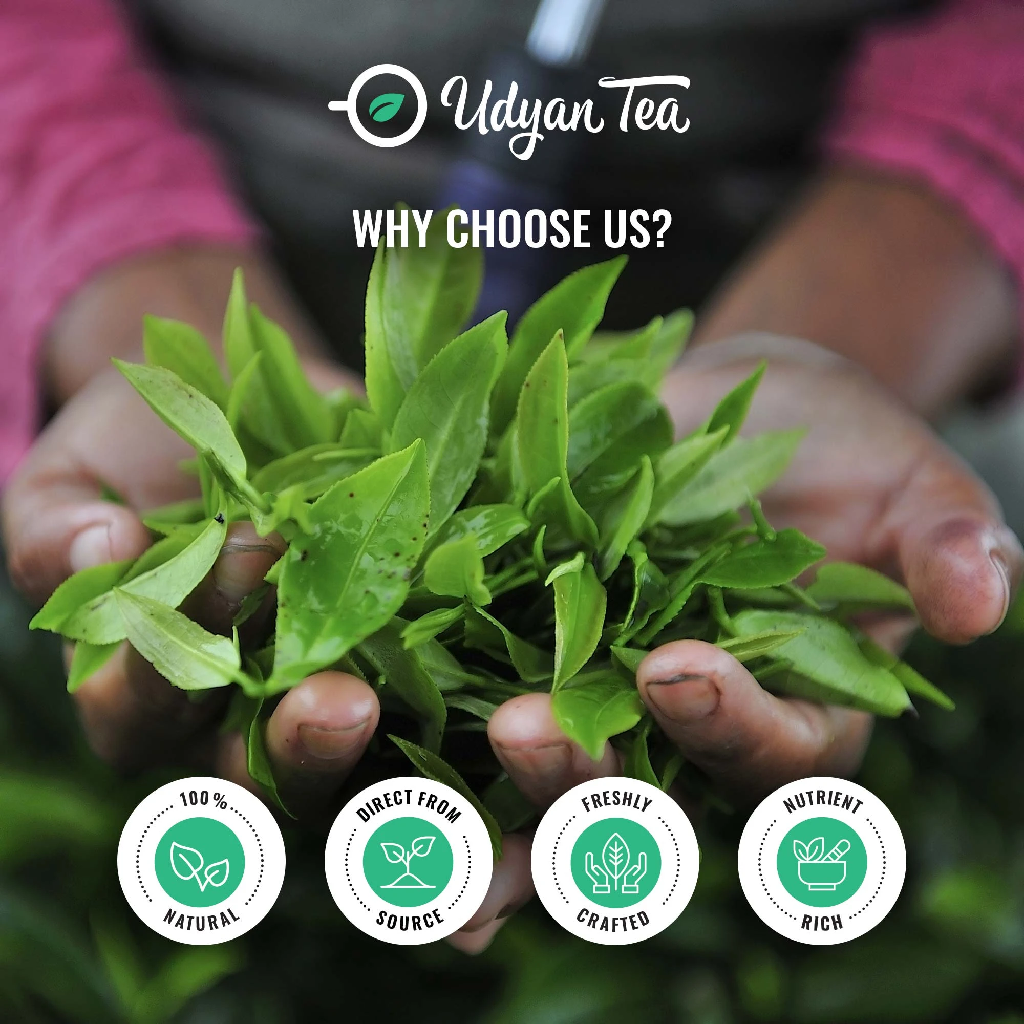 AYURVEDA TEA