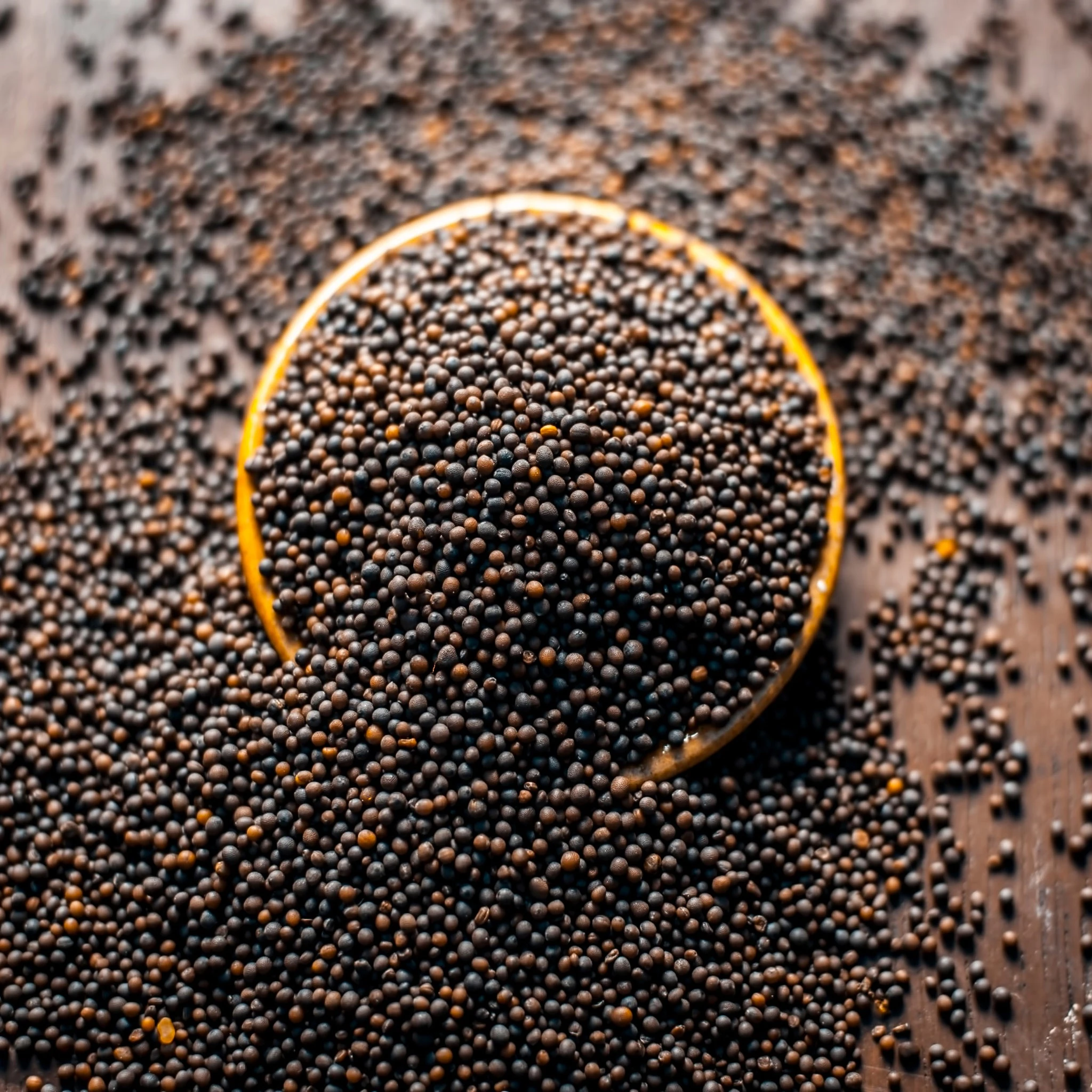 Mustard Seeds (Rai) 100g