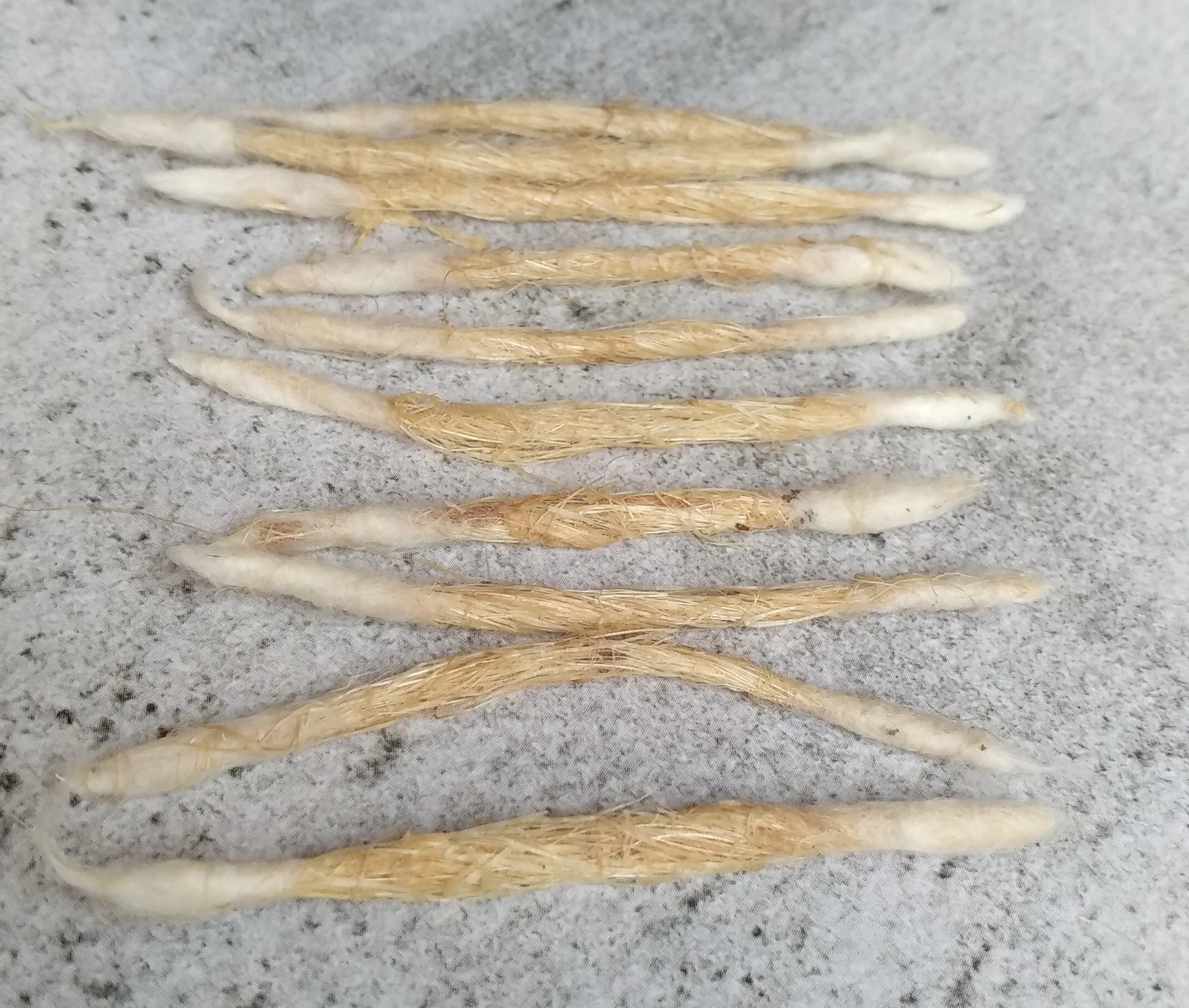Banana Fibre Long Wicks (बाती) 30 pieces