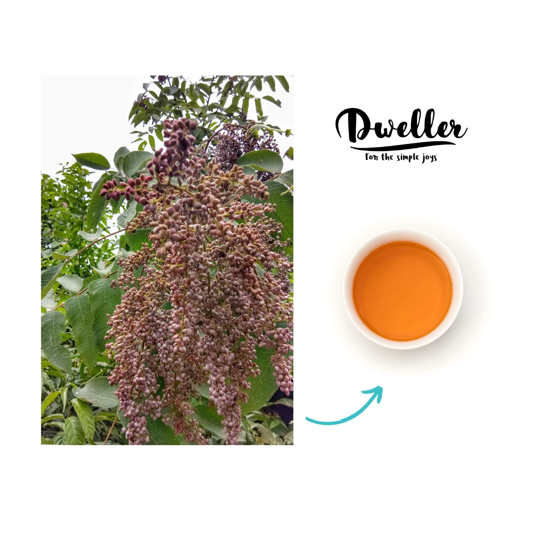 Refreshing Sumac Berry Tea (Hei-mang) (18 Tea Bags)