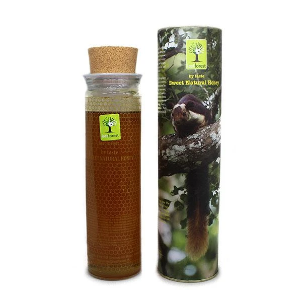 Sweet Natural Honey - Indian Giant Squirrel (Ratufa indica)