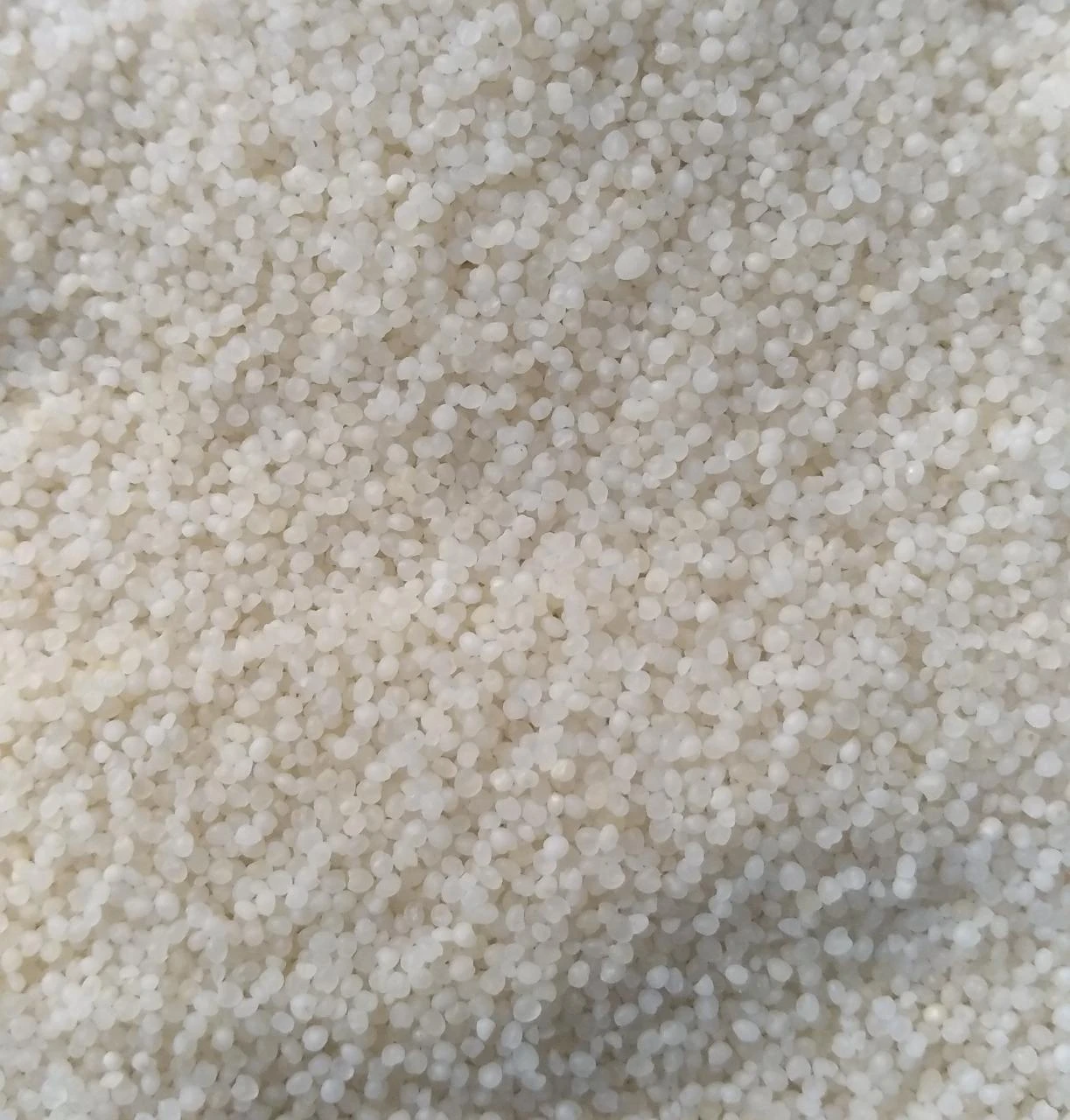 Barnyard Millet (Bhagar or Jhangora) 500g