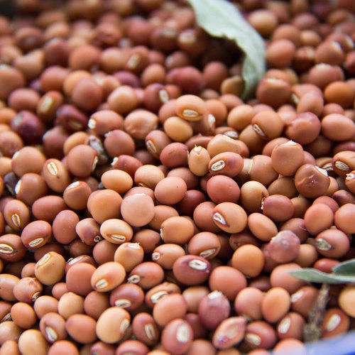 Unpolished Desi Tur Dal (Sabut) 500g