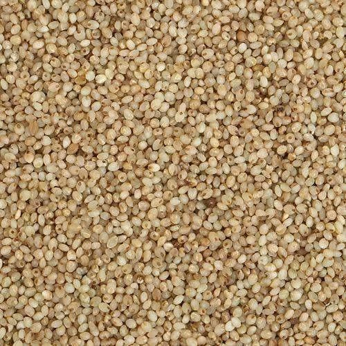 Little Millet (Samai) 500g