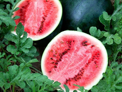Watermelon Seeds 200g